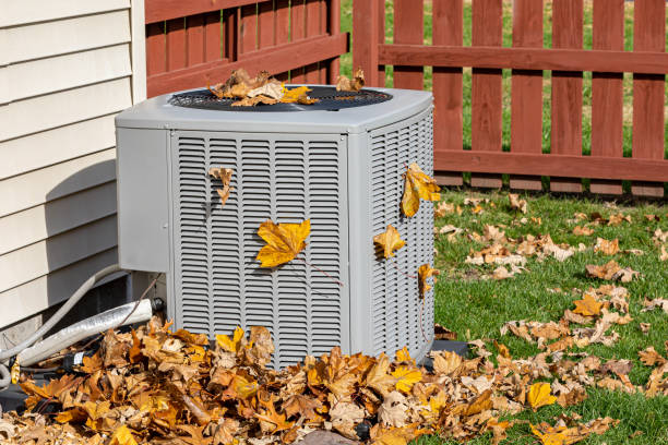 Best HVAC maintenance near me  in Elsberry, MO